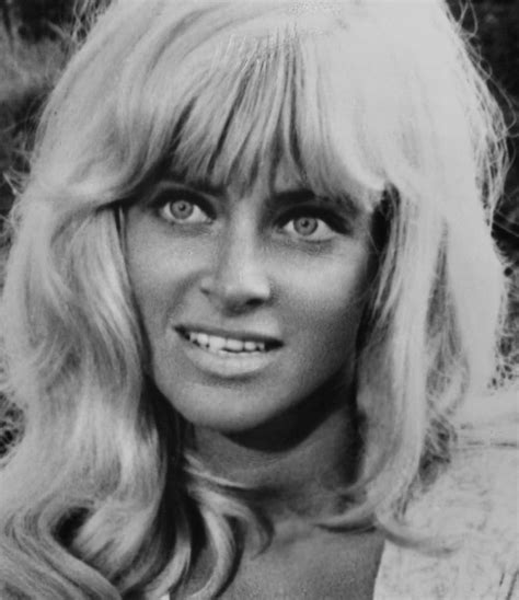 joy harmon then and now|Joy Harmon Biography, Age, Height, Husband, Net Worth, Family